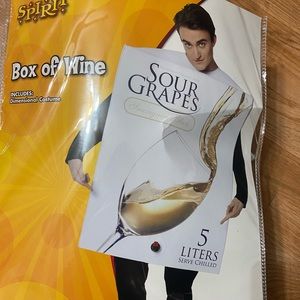 Halloween Costume - Box of Wine